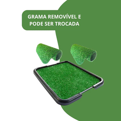 Kit 2 Sanitário Canino Pet Cachorro Com Grama Sintetica Tapete Higiênico