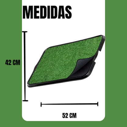 Kit 2 Sanitário Canino Pet Cachorro Com Grama Sintetica Tapete Higiênico
