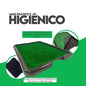 Kit 2 Sanitário Canino Pet Cachorro Com Grama Sintetica Tapete Higiênico