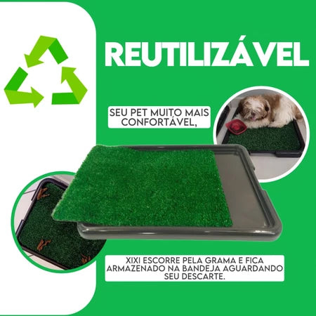 Kit 2 Sanitário Canino Pet Cachorro Com Grama Sintetica Tapete Higiênico