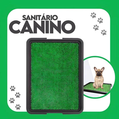 Kit 2 Sanitário Canino Pet Cachorro Com Grama Sintetica Tapete Higiênico