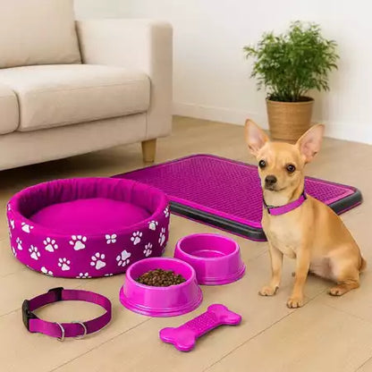 Kit Para Pet Coleira De Pescoço Sanitário Caminha Para Cachorro Pequeno