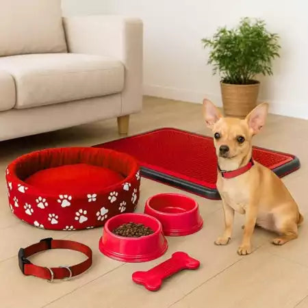 Kit Para Pet Coleira De Pescoço Sanitário Caminha Para Cachorro Pequeno