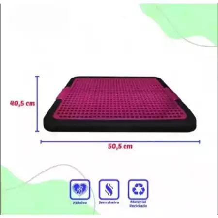 Kit Para Pet Coleira De Pescoço Sanitário Caminha Para Cachorro Pequeno