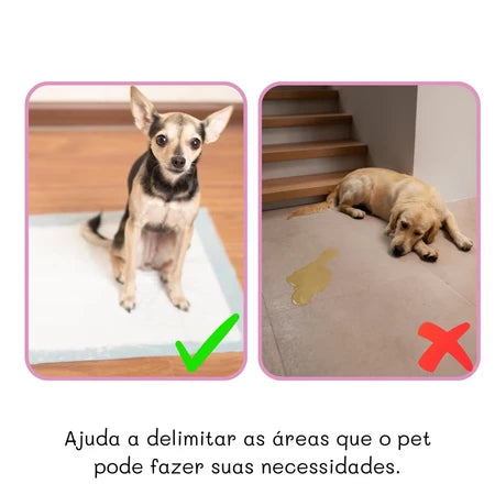 Kit Educador Xixi Não Pode 500ml + Xixi Pode 30ml Adestramento